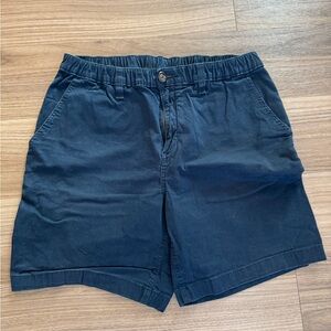 Chubbies Navy Flat Front Shorts